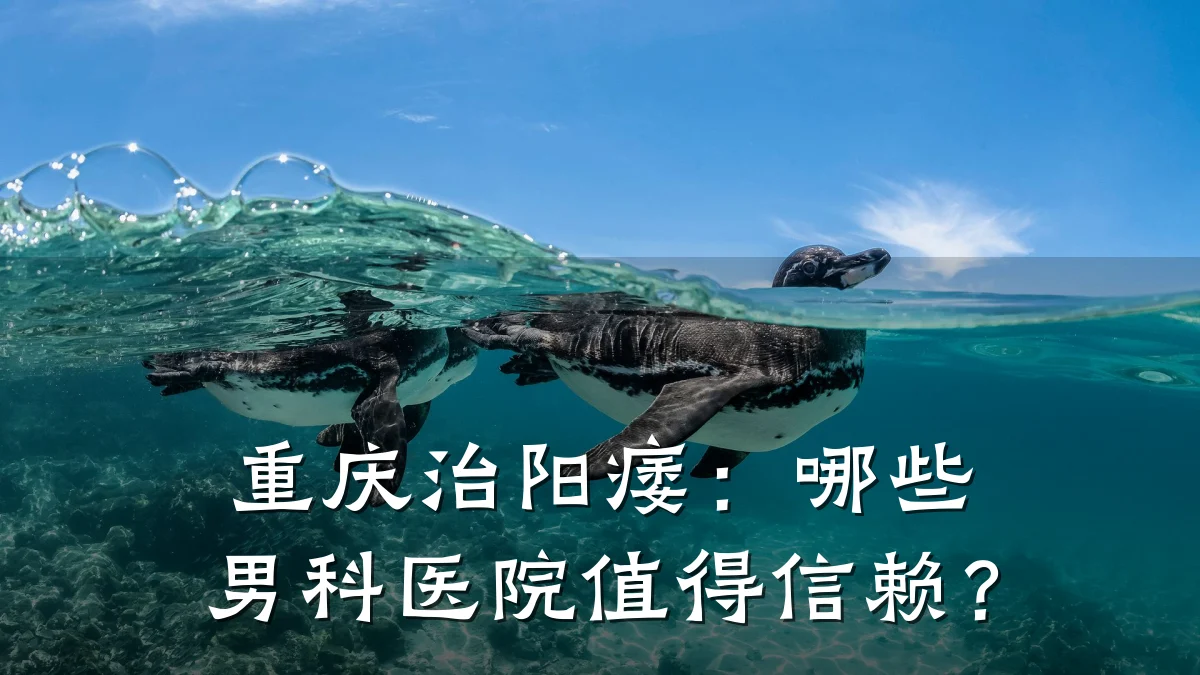 重庆治阳痿:哪些男科医院值得信赖?